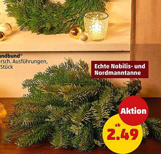 Echte Nobilis- und Nordmanntanne