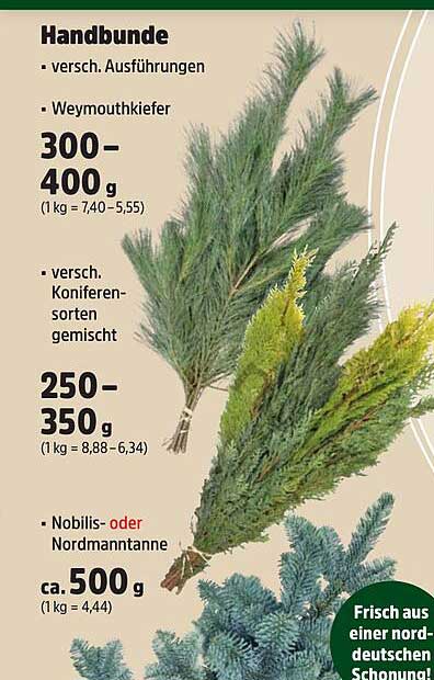 Frische Handbunde mit verschiedenen Ausführungen von Koniferen und Nordmanntanne