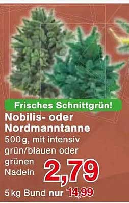 Frisches Schnittgrün! Nobilis- oder Nordmanntanne 500g