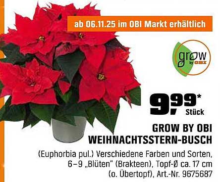 GROW BY OBI WEIHNACHTSSTERN-BUSCH