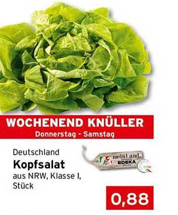 Kopfsalat aus NRW, Klasse I, Stück