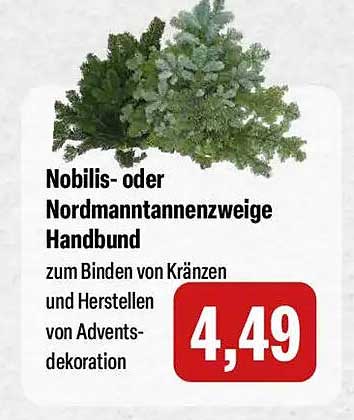 Nobilis- oder Nordmantannen-Zweige Handbund