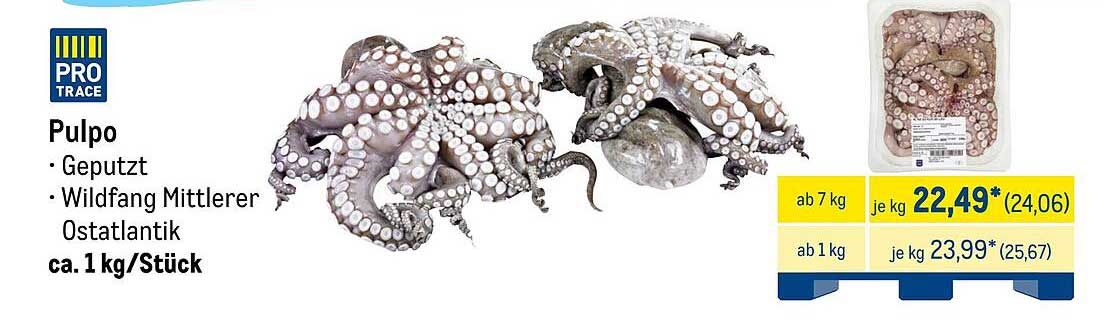 Pulpo - Geputzt aus Wildfang Mittlerer Ostatlantik, ca. 1 kg/Stück