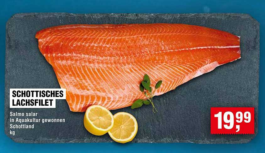 Schottisches Lachsfilet