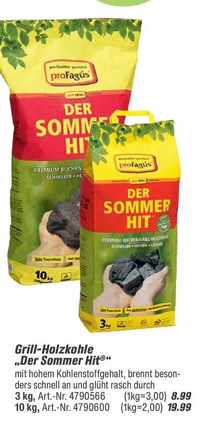 Grill-Holzkohle „Der Sommer Hit®“