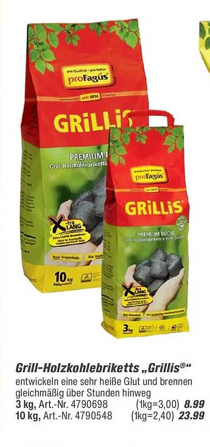 Grill-Holzkohlebriketts „Grillis®“