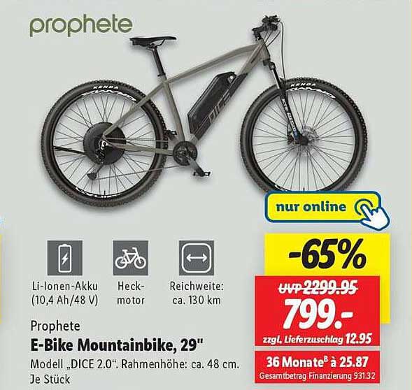 Prophete E-Bike Mountainbike, 29" - Nur online