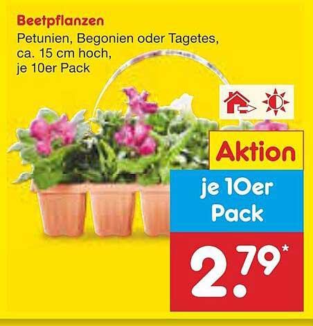 Beetpflanzen: Petunien, Begonien oder Tagetes, ca. 15 cm hoch, je 10er Pack