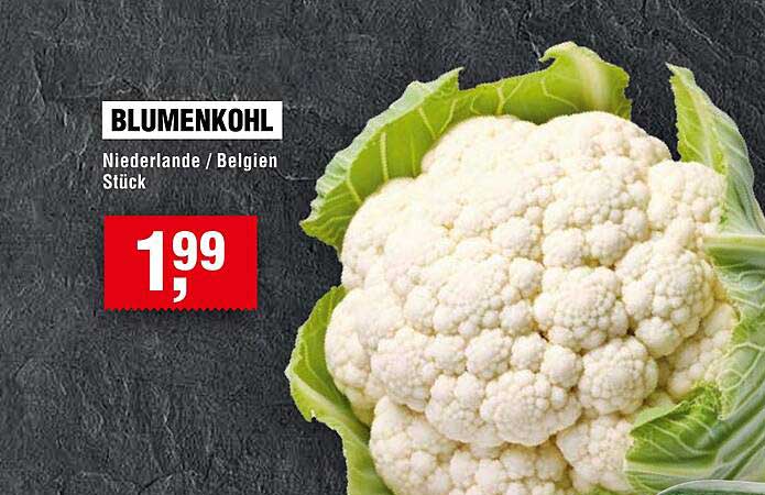 BLUMENKOHL - Niederlande / Belgien, Stück