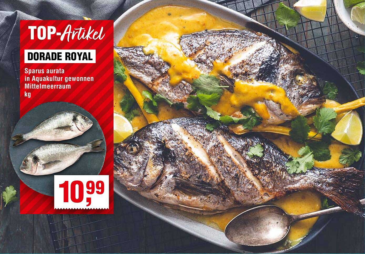 DORADE ROYAL - Sparus aurata in Aquakultur gewonnen