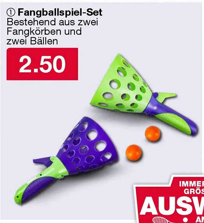 Fangballspiel-Set