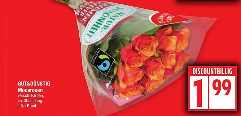GUT& GÜNSTIG Moosrosen - 11er Bund für nur 1,99 €