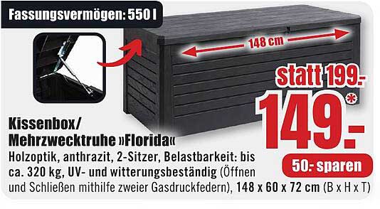Kissenbox/Mehrzwecktruhe "Florida"