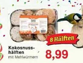 Kokosnuss-Hälften mit Mehlwürmern