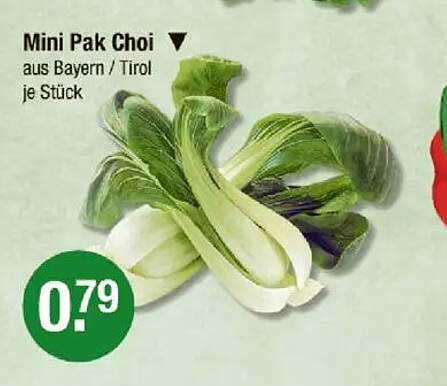 Mini Pak Choi aus Bayern/Tirol je Stück
