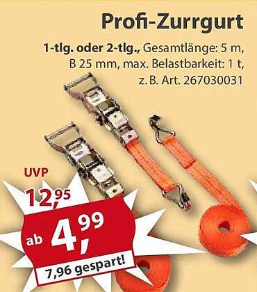 Profi-Zurrgurt 1-tlg. oder 2-tlg. - 5 m Länge