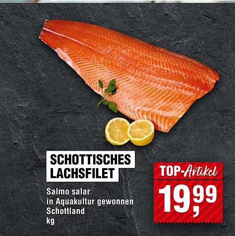 Schottisches Lachsfilet - Salmo salar in Aquakultur gewonnen