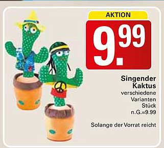 Singender Kaktus - verschiedene Varianten