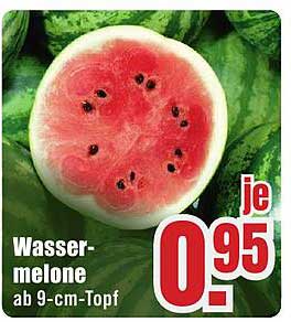 Wassermelone ab 9-cm-Topf