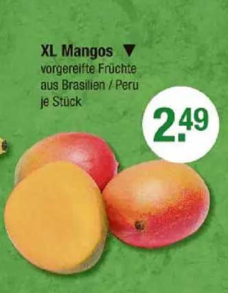 XL Mangos - vorverreifte Früchte aus Brasilien / Peru je Stück
