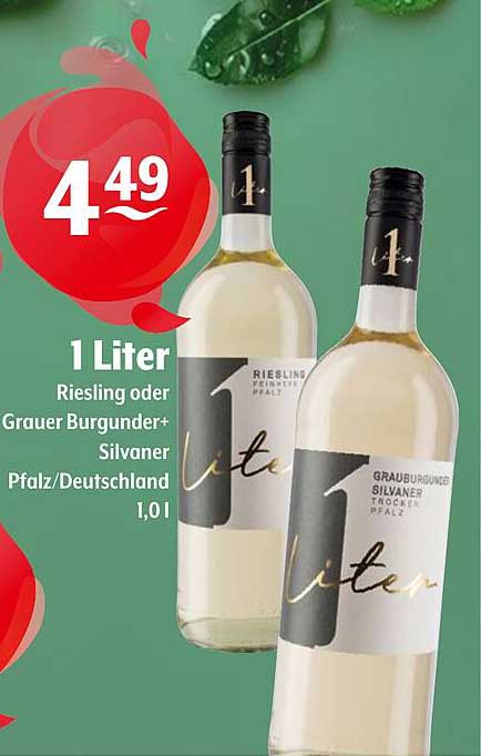 1 Liter Riesling oder Grauer Burgunder + Silvaner Pfalz/Deutschland