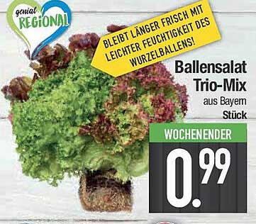 Ballensalat Trio-Mix aus Bayern