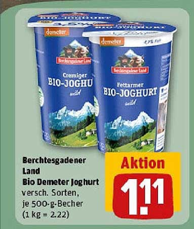 Berchtesgadener Land Bio Demeter Joghurt 500 g Becher