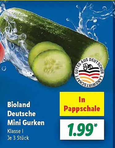 Bioland Deutsche Mini Gurken, Klasse I, Je 3 Stück