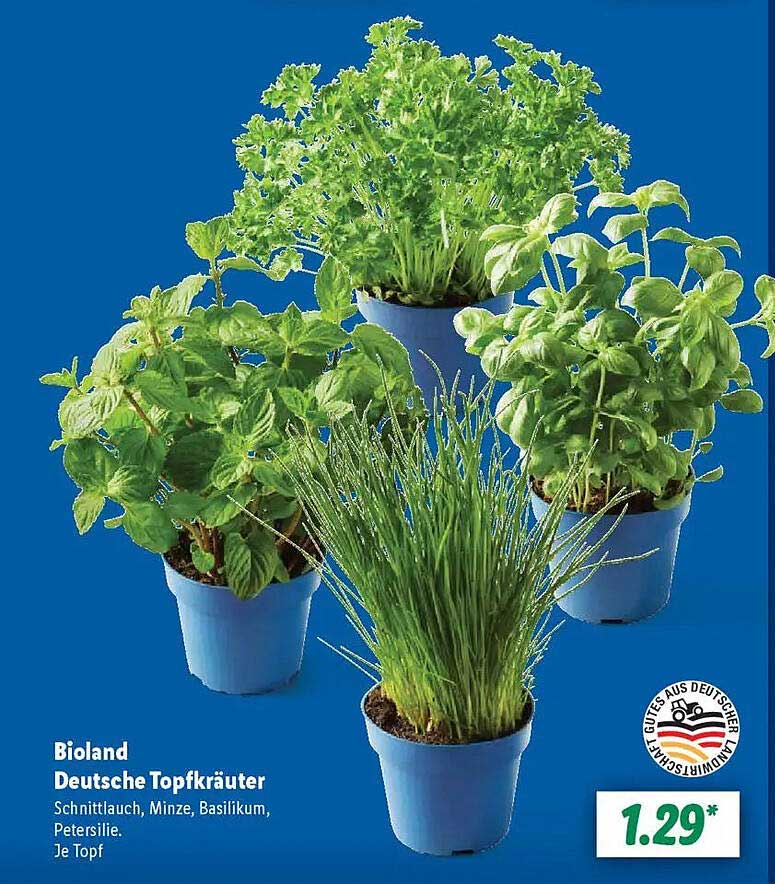 Bioland Deutsche Topfkräuter - Schnittlauch, Minze, Basilikum, Petersilie