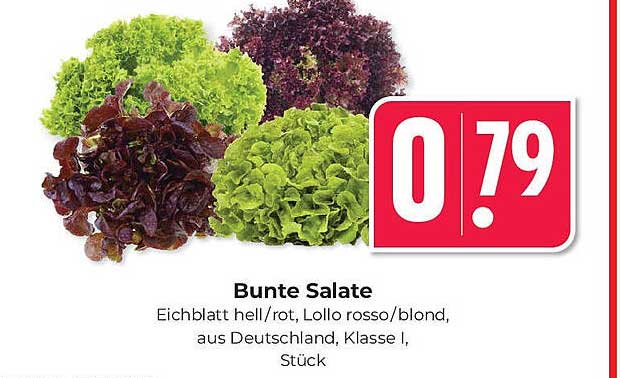 Bunte Salate - Eichblatt hell/rot, Lollo rosso/blond, aus Deutschland, Klasse I, Stück