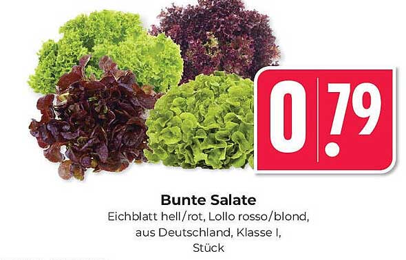 Bunte Salate - Eichblatt hell/rot, Lollo rosso/blond, aus Deutschland, Klasse I, Stück