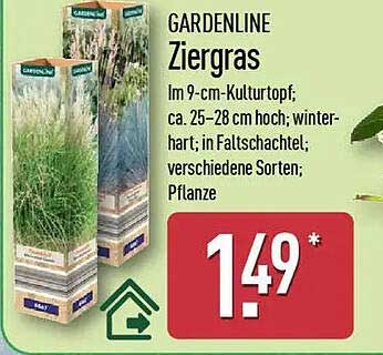 GARDENLINE Ziergras - 9-cm-Kulturtopf