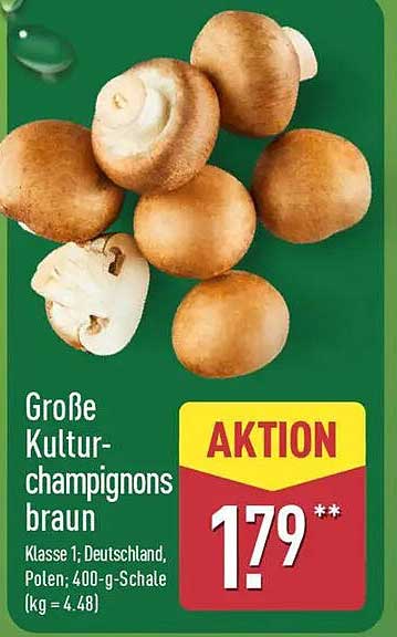 Große Kulturchampignons braun