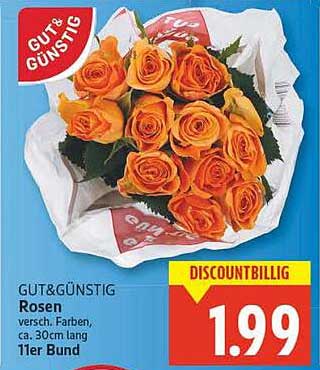 GUT & GÜNSTIG Rosen, 11er Bund, verschiedene Farben