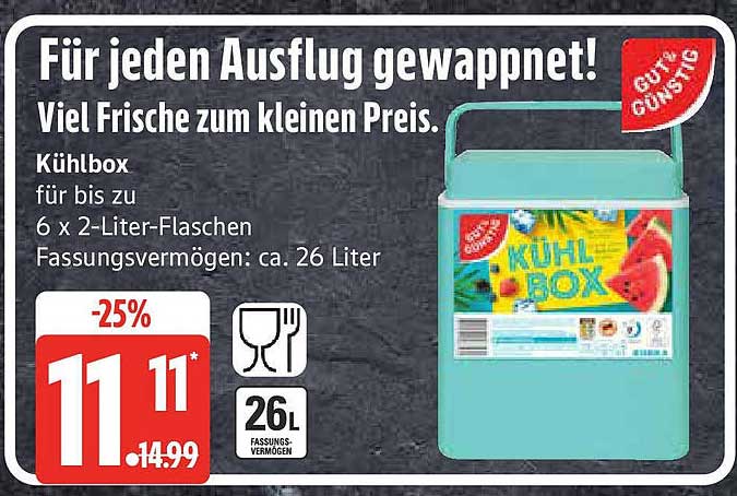 Kühlbox für bis zu 6 x 2-Liter-Flaschen