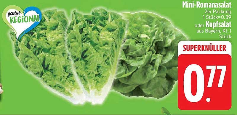 Mini-Romanasalat oder Kopfsalat aus Bayern