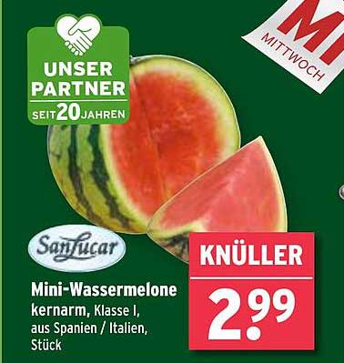 Mini-Wassermelone kernarm, Klasse I, aus Spanien / Italien, Stück