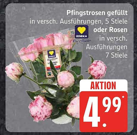 Pfingstrosen gefüllt in verschiedenen Ausführungen, 5 Stiele oder Rosen in verschiedenen Ausführungen, 7 Stiele