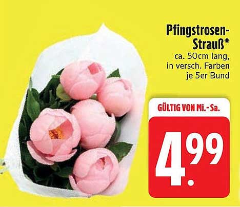 Pfingstrosen-Strauß*
