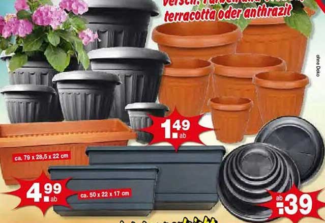 Pflanzentöpfe in verschiedenen Größen und Farben – ab 0,39 €!