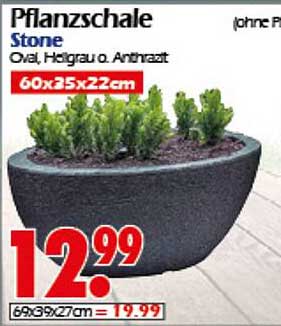 Pflanzschale Stone - Oval, Hellgrau oder Anthrazit