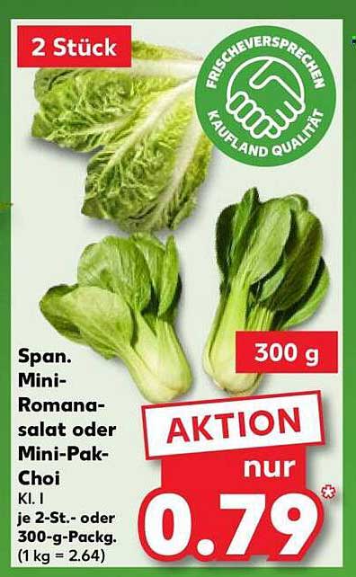 Span. Mini-Romana-Salat oder Mini-Pak-Choi, 2 Stück