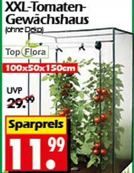XXL-Tomaten-Gewächshaus (ohne Deckel)