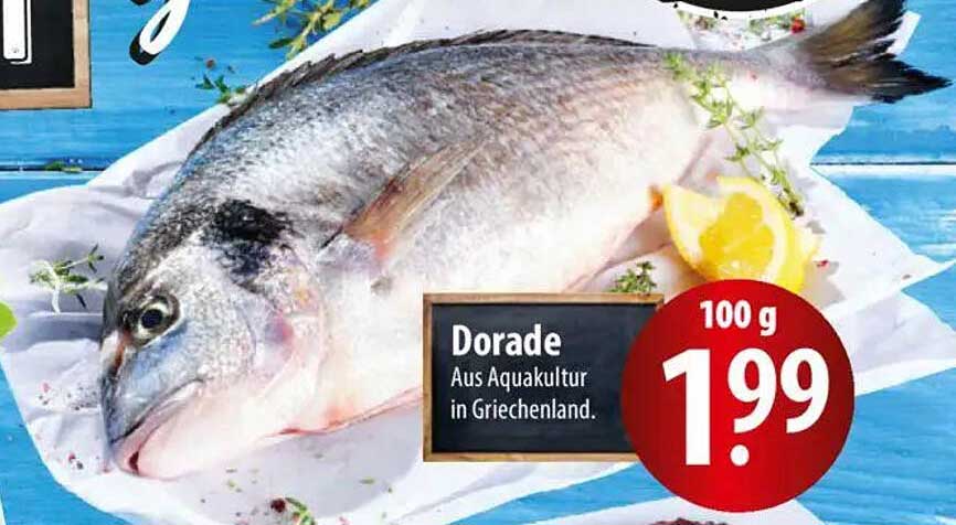 Dorada aus Aquakultur in Griechenland