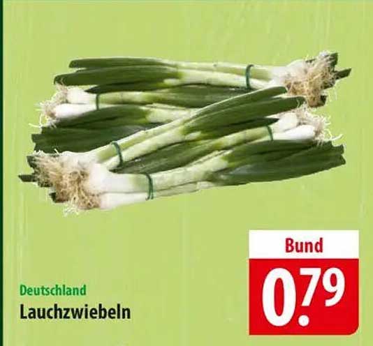 Lauchzwiebeln Bund aus Deutschland