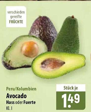 Avocado