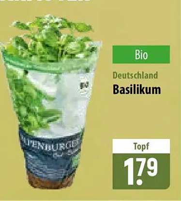 Bio Deutschland Basilikum Topf