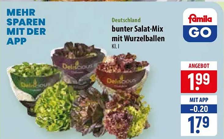Deutschland bunter Salat-Mix mit Wurzelballen Kl. I
