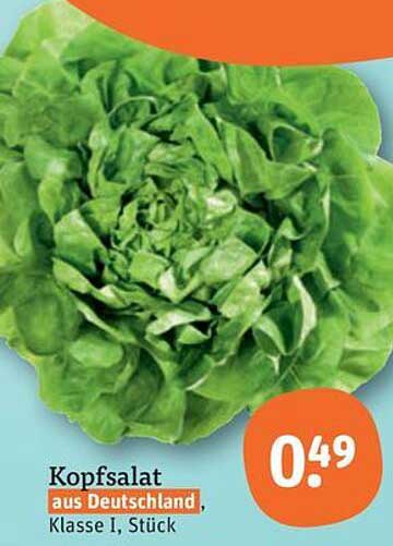 Kopfsalat aus Deutschland, Klasse I, Stück