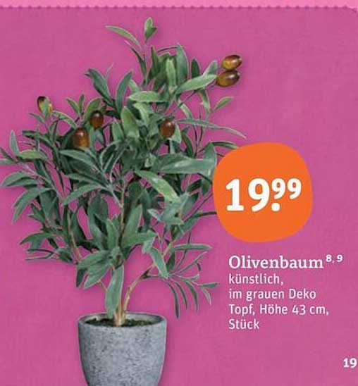 Olivenbaum künstlich, im grauen Deko Topf, Höhe 43 cm, Stück